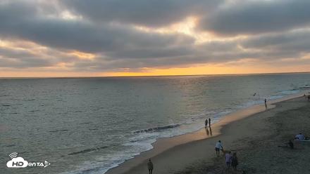 Carlsbad Beach Surf Live Webcam - Aug 11, 2026, 7:22pm PDT