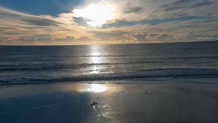 Carlsbad Beach Surf Live Webcam - Jan 5, 2026, 4:12pm PST