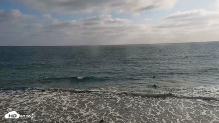 Carlsbad Beach Surf Live Webcam - May 22, 2026, 5:56pm PDT