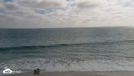 Carlsbad Beach Surf Live Webcam - Aug 12, 2026, 4:54pm PDT