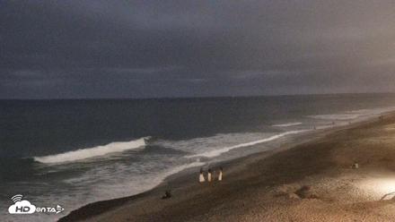 Carlsbad Beach Surf Live Webcam - Aug 2, 2026, 8:30pm PDT