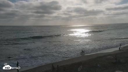 Carlsbad Beach Surf Live Webcam - Jul 31, 2026, 6:08pm PDT