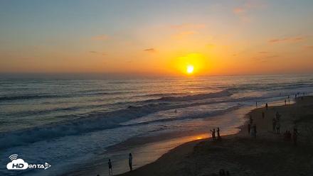 Carlsbad Beach Surf Live Webcam - Jul 9, 2026, 7:54pm PDT