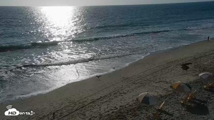 Carlsbad Beach Surf Live Webcam - Sep 16, 2026, 5:01pm PDT