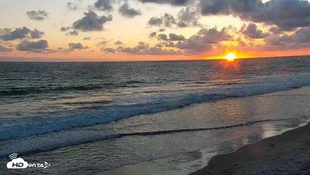Carlsbad Beach Surf Live Webcam - May 5, 2026, 7:34pm PDT