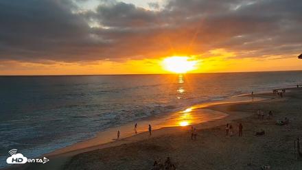 Carlsbad Beach Surf Live Webcam - Jul 1, 2026, 8:04pm PDT