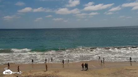 Carlsbad Beach Surf Live Webcam - Jul 1, 2026, 3:14pm PDT