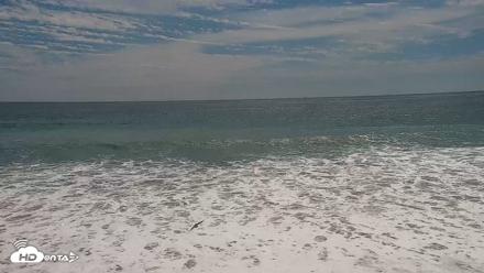 Carlsbad Beach Surf Live Webcam - Aug 15, 2026, 2:56pm PDT