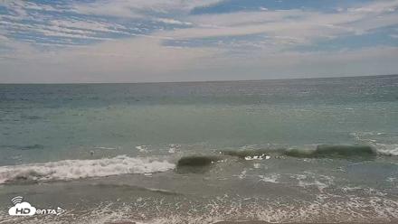 Carlsbad Beach Surf Live Webcam - Aug 15, 2026, 2:53pm PDT