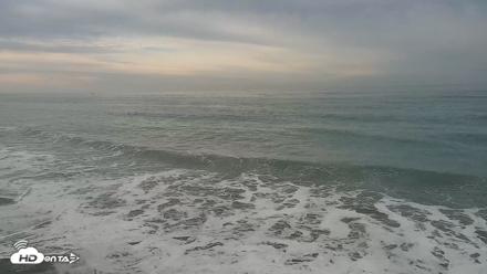 Carlsbad Beach Surf Live Webcam - Oct 10, 2026, 8:15am PDT