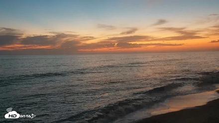 Carlsbad Beach Surf Live Webcam - Aug 26, 2026, 7:52pm PDT