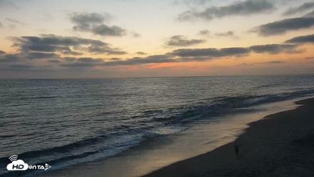 Carlsbad Beach Surf Live Webcam - Aug 11, 2026, 7:56pm PDT
