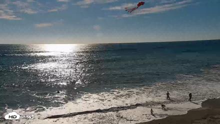 Carlsbad Beach Surf Live Webcam - Sep 4, 2026, 4:50pm PDT