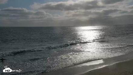 Carlsbad Beach Surf Live Webcam - May 22, 2026, 5:56pm PDT