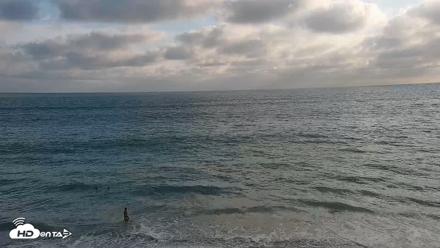 Carlsbad Beach Surf Live Webcam - Aug 12, 2026, 6:23pm PDT