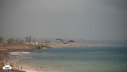 Carlsbad Beach Surf Live Webcam - Aug 8, 2026, 5:52pm PDT
