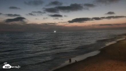 Carlsbad Beach Surf Live Webcam - Aug 11, 2026, 8:24pm PDT