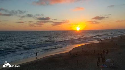 Carlsbad Beach Surf Live Webcam - Jul 6, 2026, 8:00pm PDT