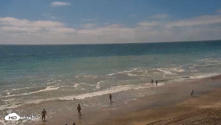 Carlsbad Beach Surf Live Webcam - Aug 16, 2026, 2:36pm PDT