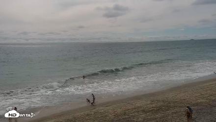 Carlsbad Beach Surf Live Webcam - Aug 13, 2026, 4:04pm PDT
