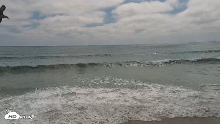 Carlsbad Beach Surf Live Webcam - Aug 16, 2026, 3:13pm PDT