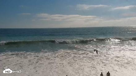 Carlsbad Beach Surf Live Webcam - Aug 16, 2026, 4:30pm PDT