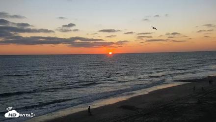 Carlsbad Beach Surf Live Webcam - Sep 1, 2026, 7:16pm PDT