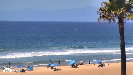 El Porto Beach Roving Live Cam - Sep 10, 2026, 12:41pm PDT