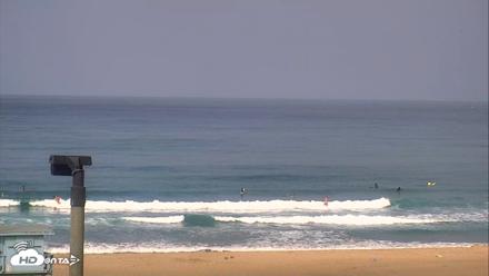 El Porto Beach Roving Live Cam - Sep 14, 2026, 9:46am PDT