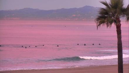 El Porto Beach Roving Live Cam - Jan 17, 2026, 6:51am PST