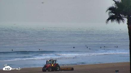 El Porto Beach Roving Live Cam - Aug 25, 2026, 6:42am PDT