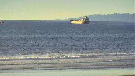 El Porto Beach Roving Live Cam - Nov 22, 2025, 3:54pm PST