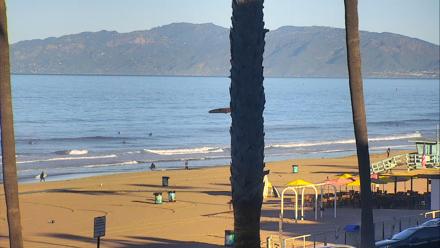 El Porto Beach Roving Live Cam - Mar 8, 2026, 8:18am PDT