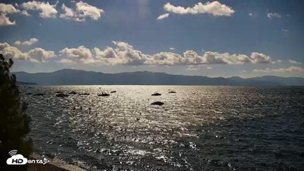Garwoods Grill and Pier Live Cam - Aug 29, 2026, 9:48am PDT