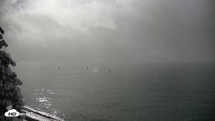 Garwoods Grill and Pier Live Cam - Apr 12, 2026, 8:29am PDT