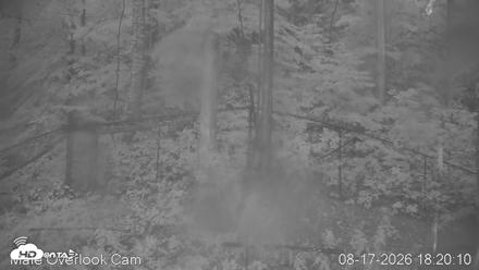 Dollywood Eagles Live Webcam - Aviary 3 - Aug 17, 2026, 6:20pm EDT