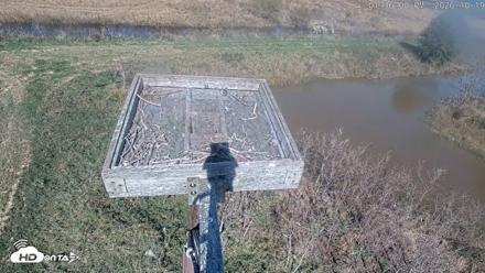 Blackwater Wildlife Refuge Ospreys Live Cam - Oct 19, 2026, 1:39pm EDT