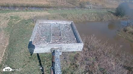 Blackwater Wildlife Refuge Ospreys Live Cam - Oct 13, 2026, 12:12pm EDT