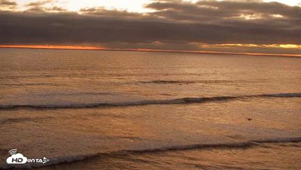 Terramar Point Surf Live Webcam - Aug 14, 2026, 7:59pm PDT