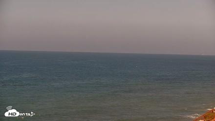 Terramar Point Surf Live Webcam - Sep 1, 2026, 12:17pm PDT