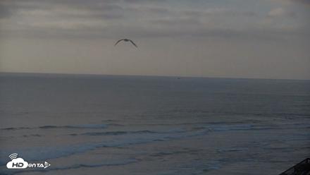 Terramar Point Surf Live Webcam - Sep 13, 2026, 6:22pm PDT