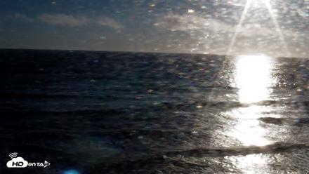 Terramar Point Surf Live Webcam - Jul 22, 2026, 7:01pm PDT