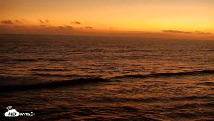 Terramar Point Surf Live Webcam - Aug 8, 2026, 8:11pm PDT