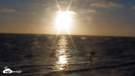 Terramar Point Surf Live Webcam - Jul 2, 2026, 7:40pm PDT