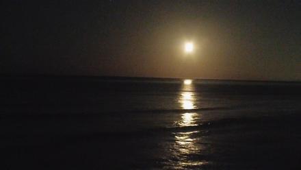 Terramar Point Surf Live Webcam - Jan 30, 2026, 4:46am PST