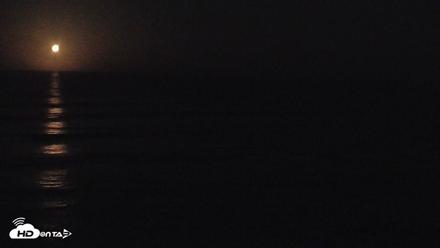Terramar Point Surf Live Webcam - Apr 29, 2026, 4:32am PDT