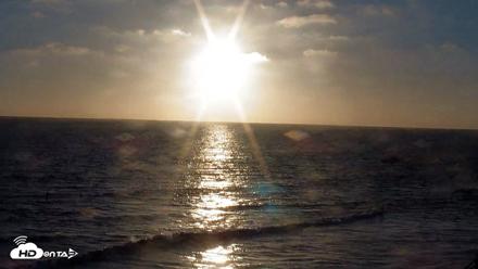 Terramar Point Surf Live Webcam - Jul 2, 2026, 7:37pm PDT