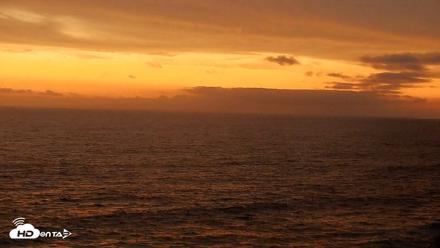 Terramar Point Surf Live Webcam - Aug 10, 2026, 8:05pm PDT