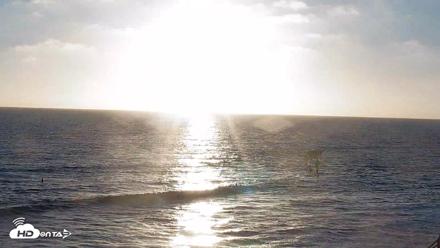 Terramar Point Surf Live Webcam - Jul 2, 2026, 7:37pm PDT