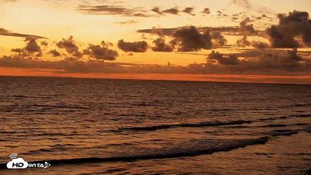 Terramar Point Surf Live Webcam - May 5, 2026, 7:55pm PDT